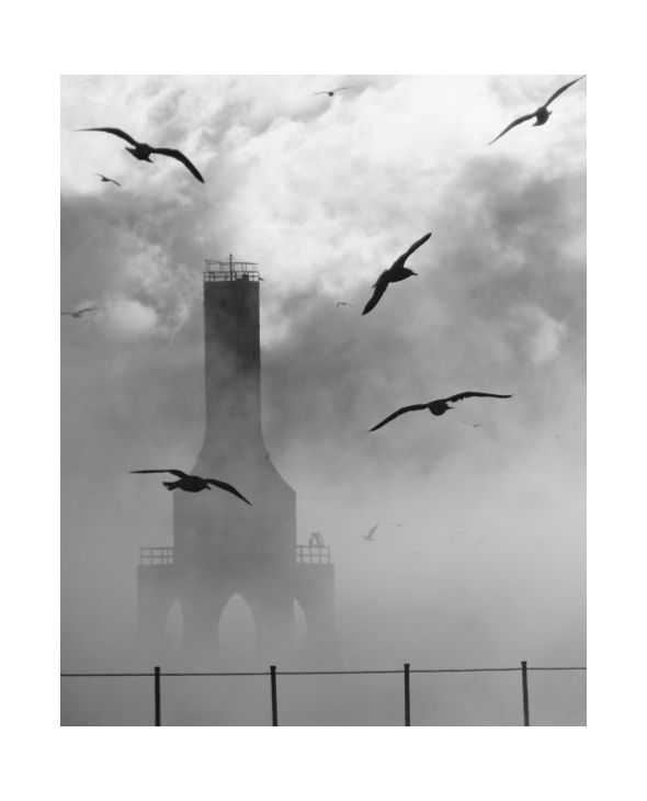 First Place Winners 2018 Employee Photography Contest Kohler Kohler