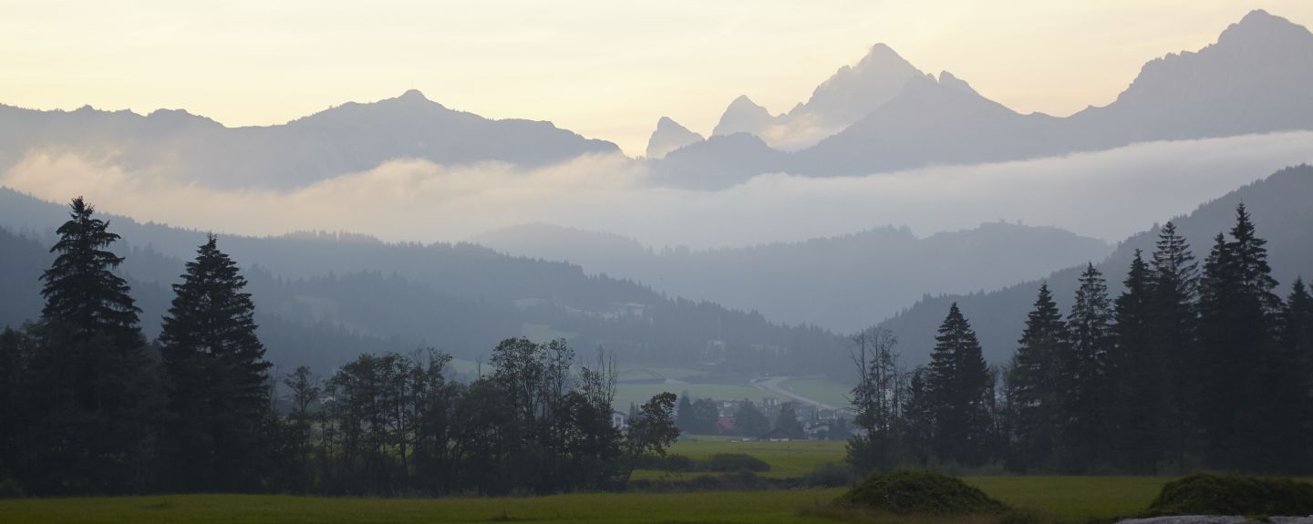 A beautiful view of a mountainous region with many trees, green grass, and mountain peaks