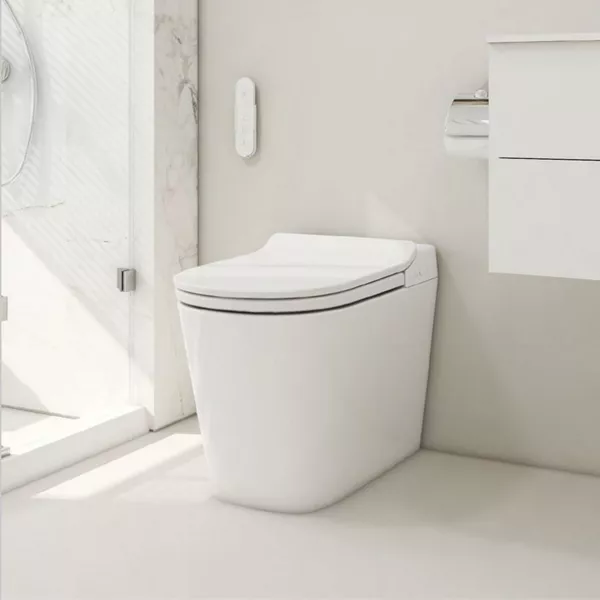 China Toilet Seats and Bidets 2023-2024