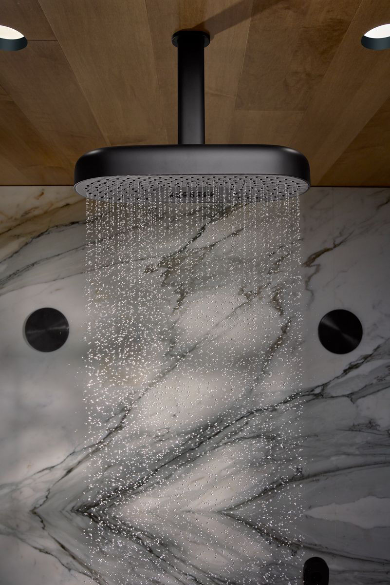 Kohler Rainheads