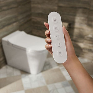 Personalized Control