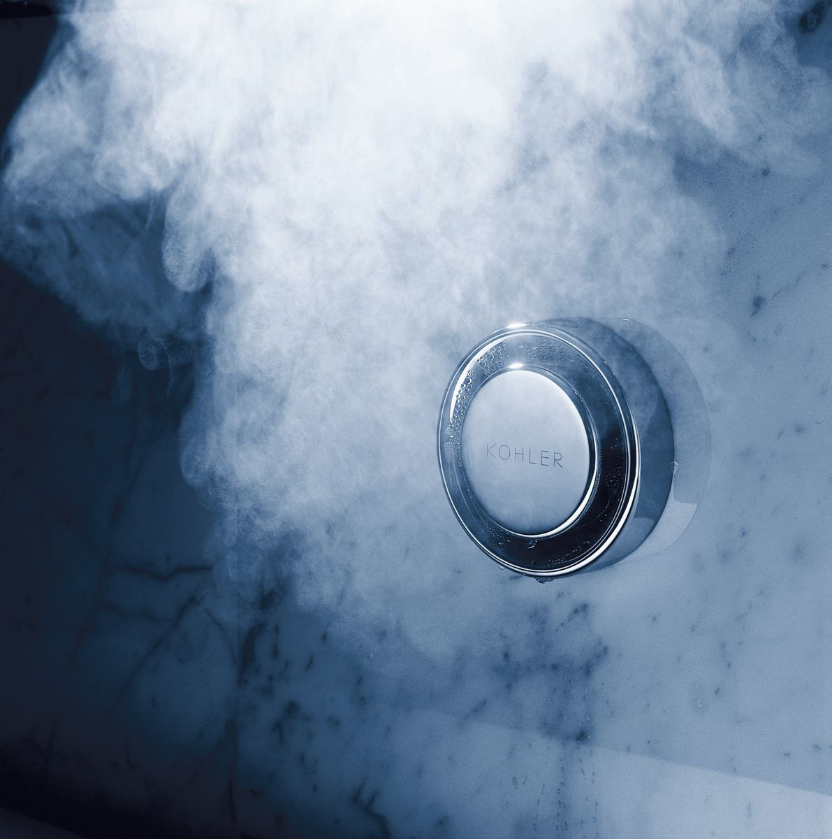 <h2>Steam</h2>
