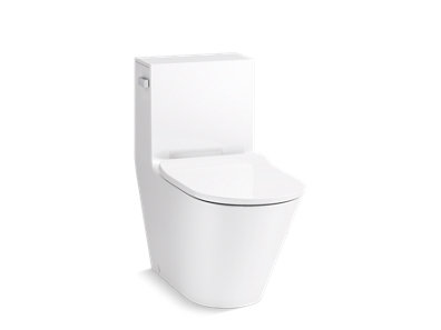 Brazn&trade; One-piece compact elongated toilet with skirted trapway, dual-flush