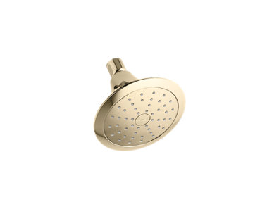 Forté® 1.75 gpm single-function showerhead with Katalyst® air-induction technology