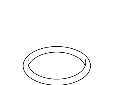O-Ring