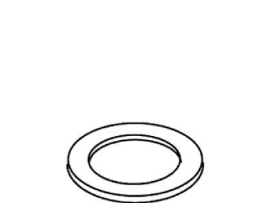Drain Gasket