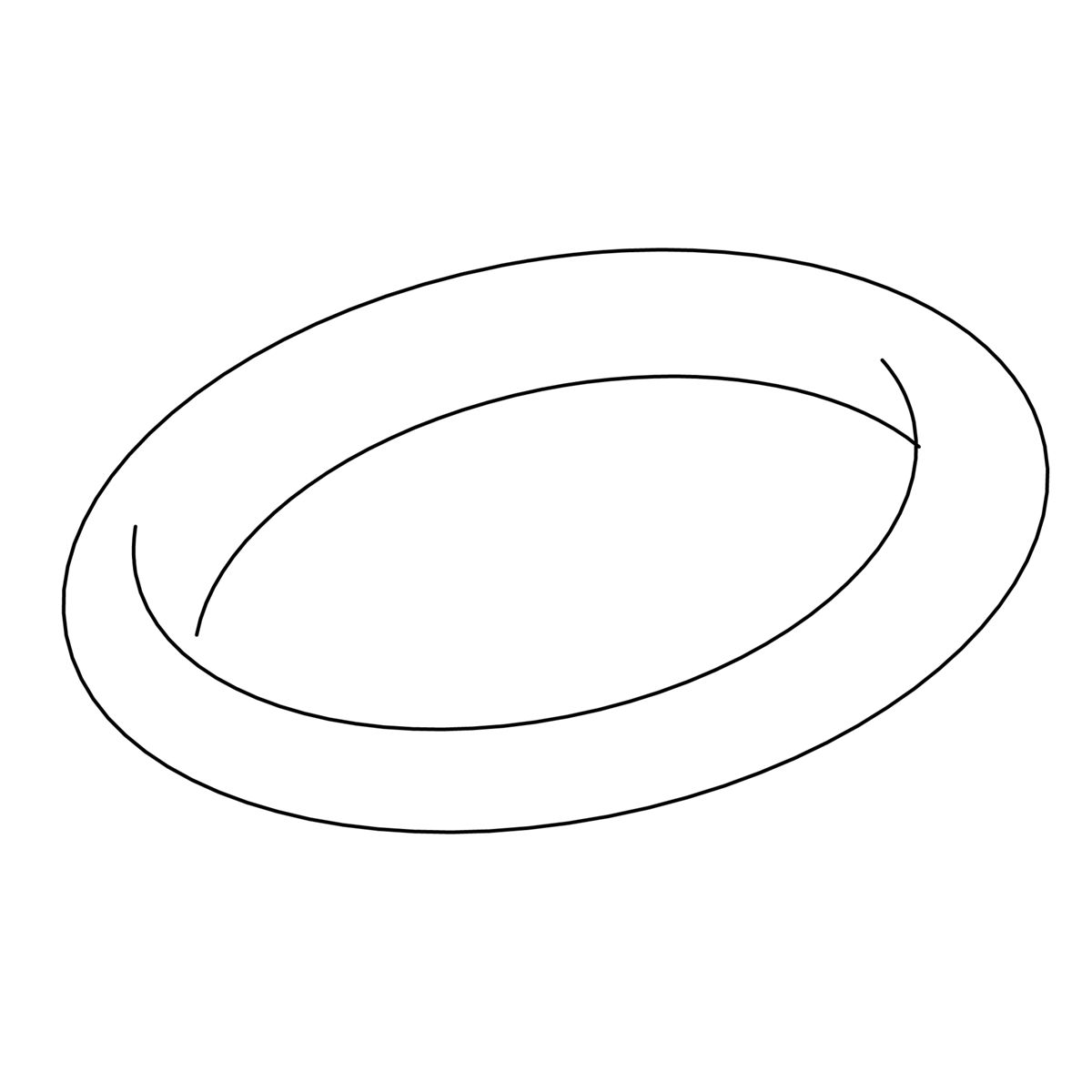 O-Ring