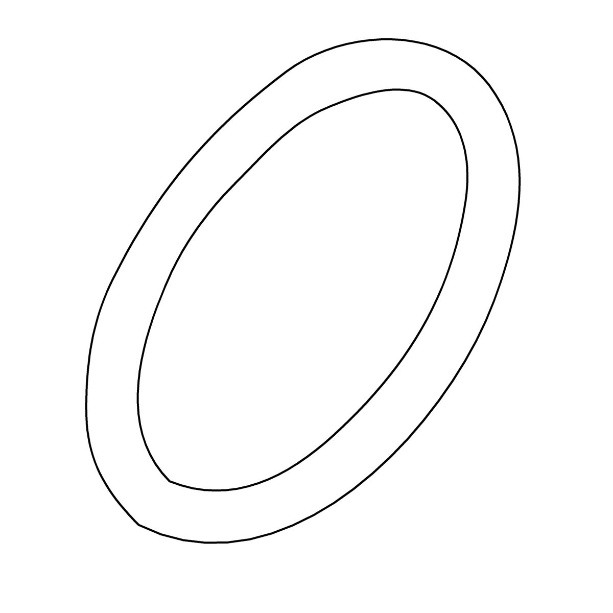 O-Ring