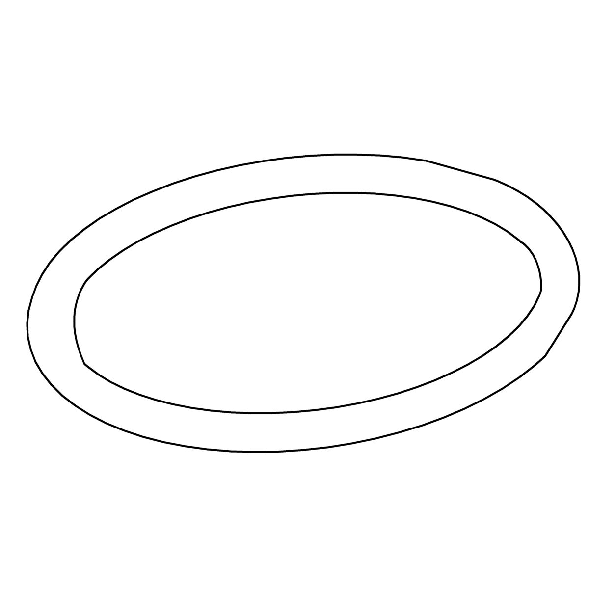 O-Ring