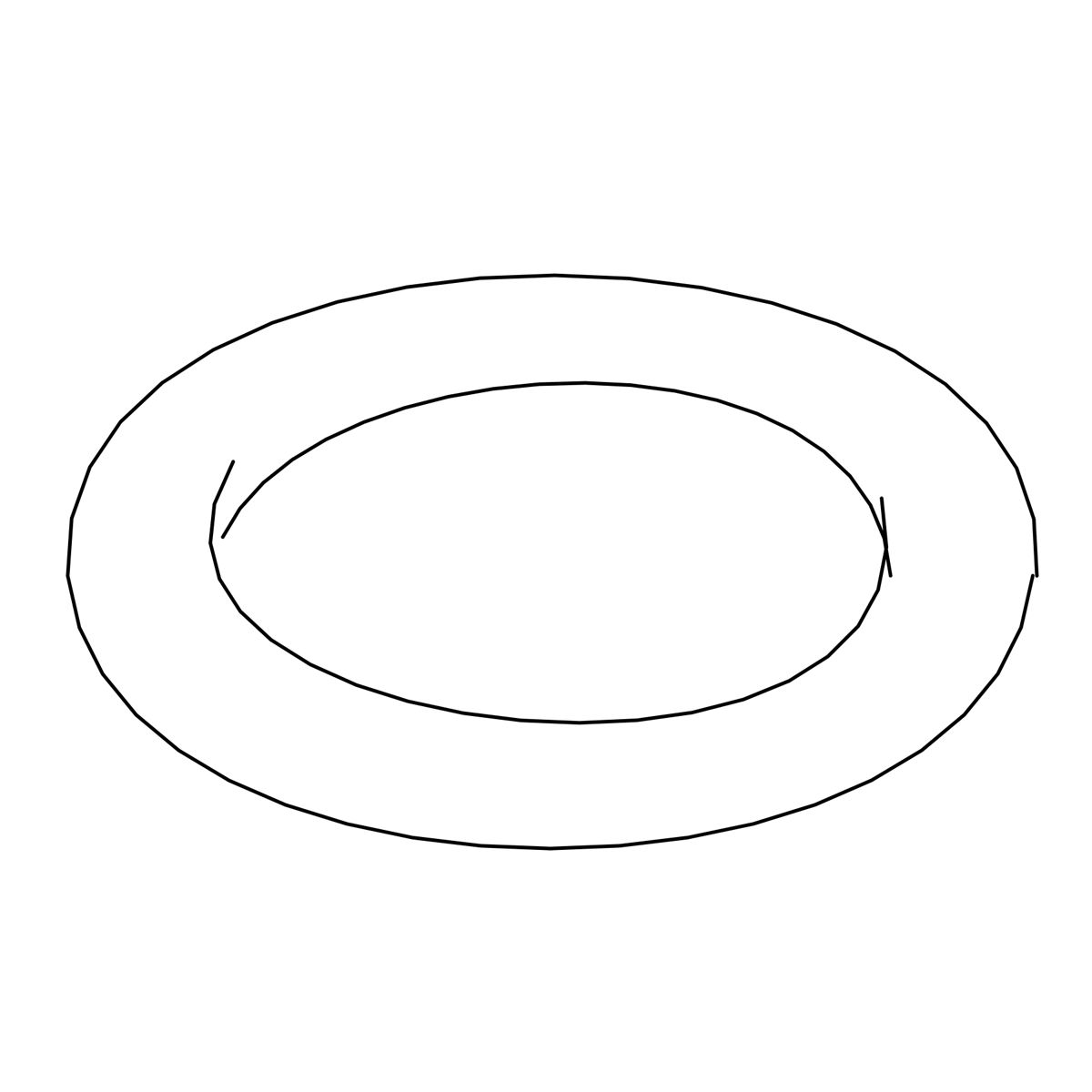 O-Ring