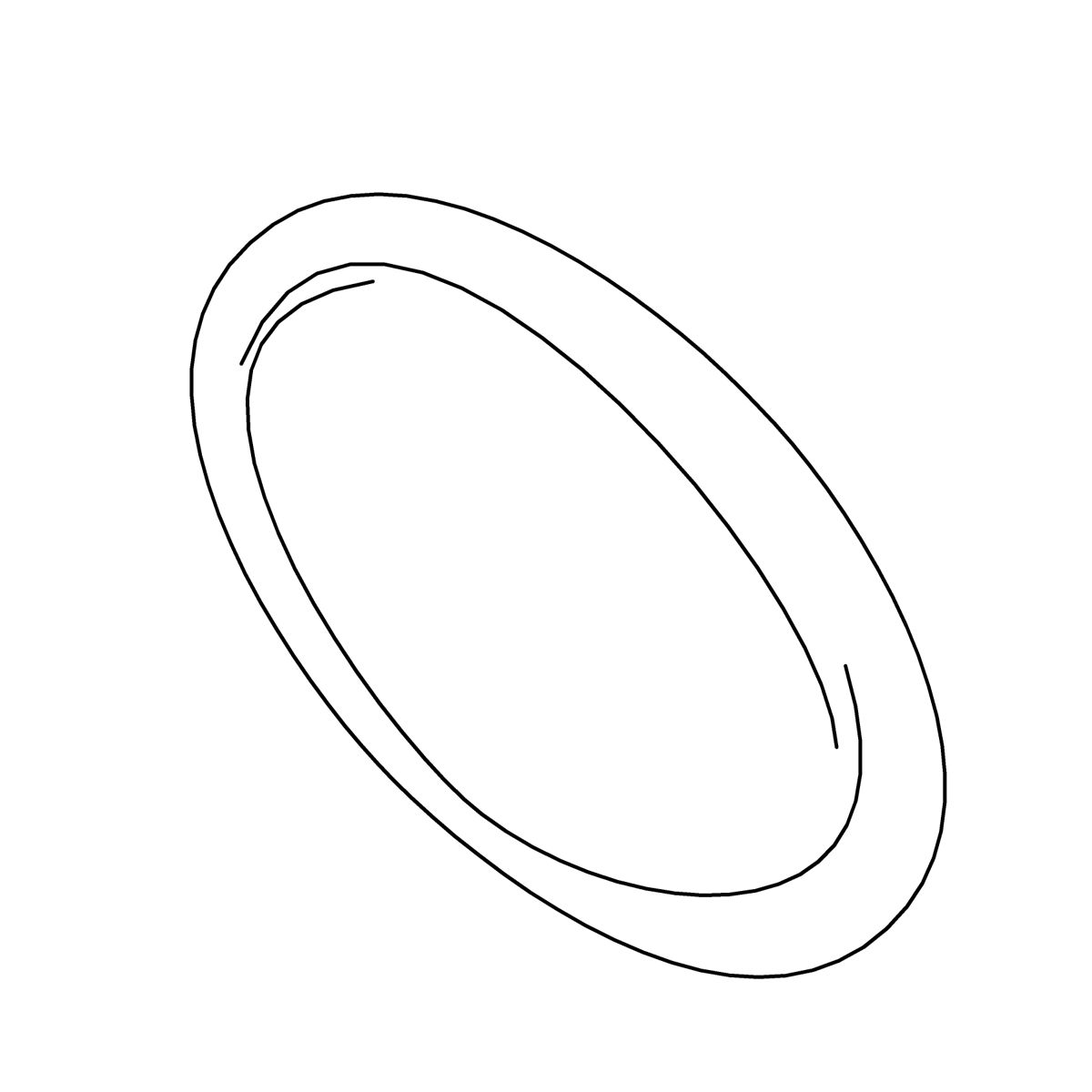 O-Ring