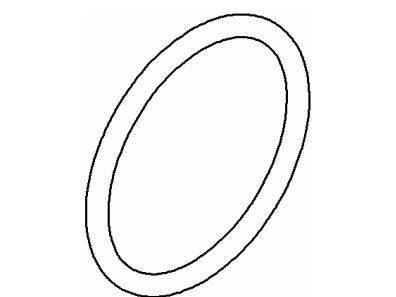 O-Ring