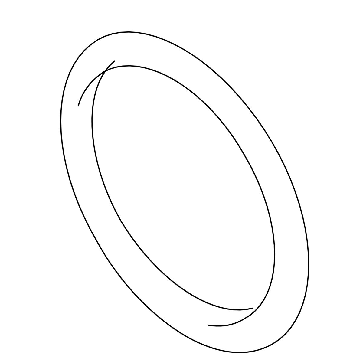 O-Ring