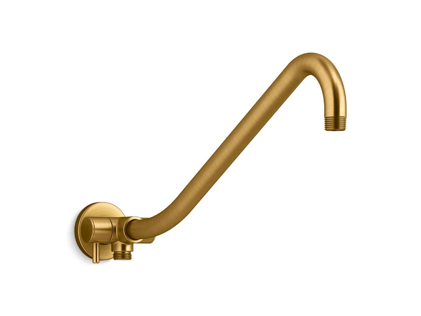 Gooseneck Rainhead arm with 2-way diverter