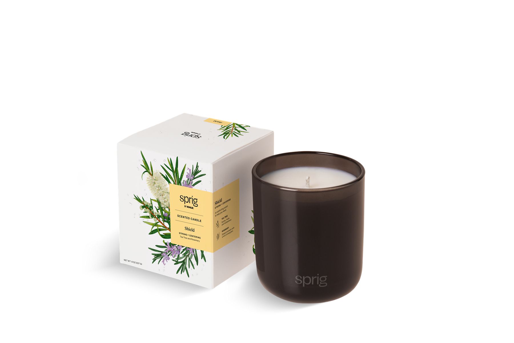 Sprig Shield Scented Candle (Tea Tree + Rosemary)