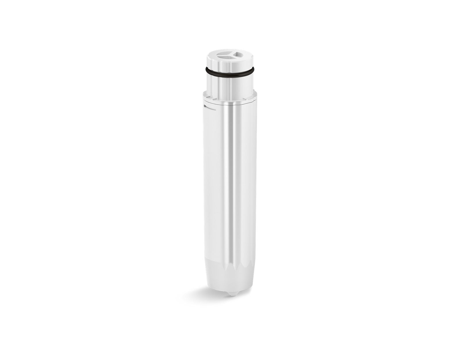 Handshower Replacement Filter (2-pack)