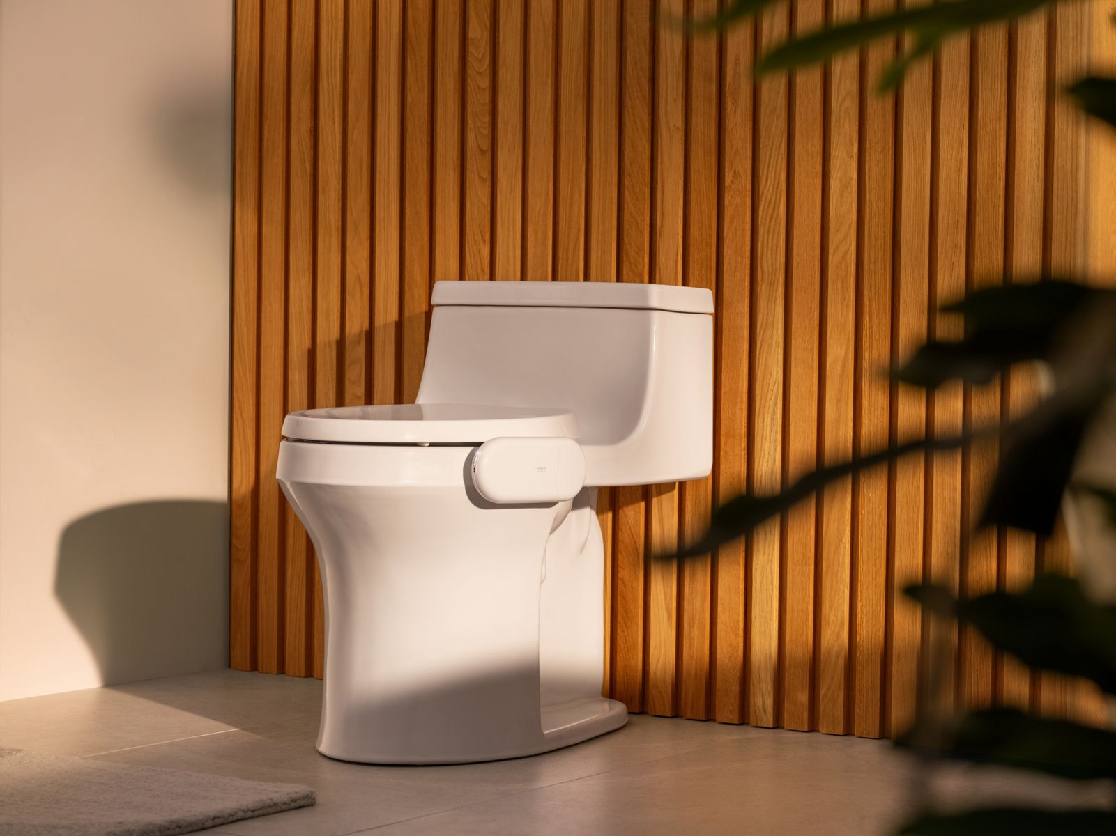 image focused on single product story