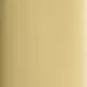 Polished Gold