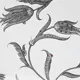Botanical Study