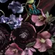 Midnight Floral