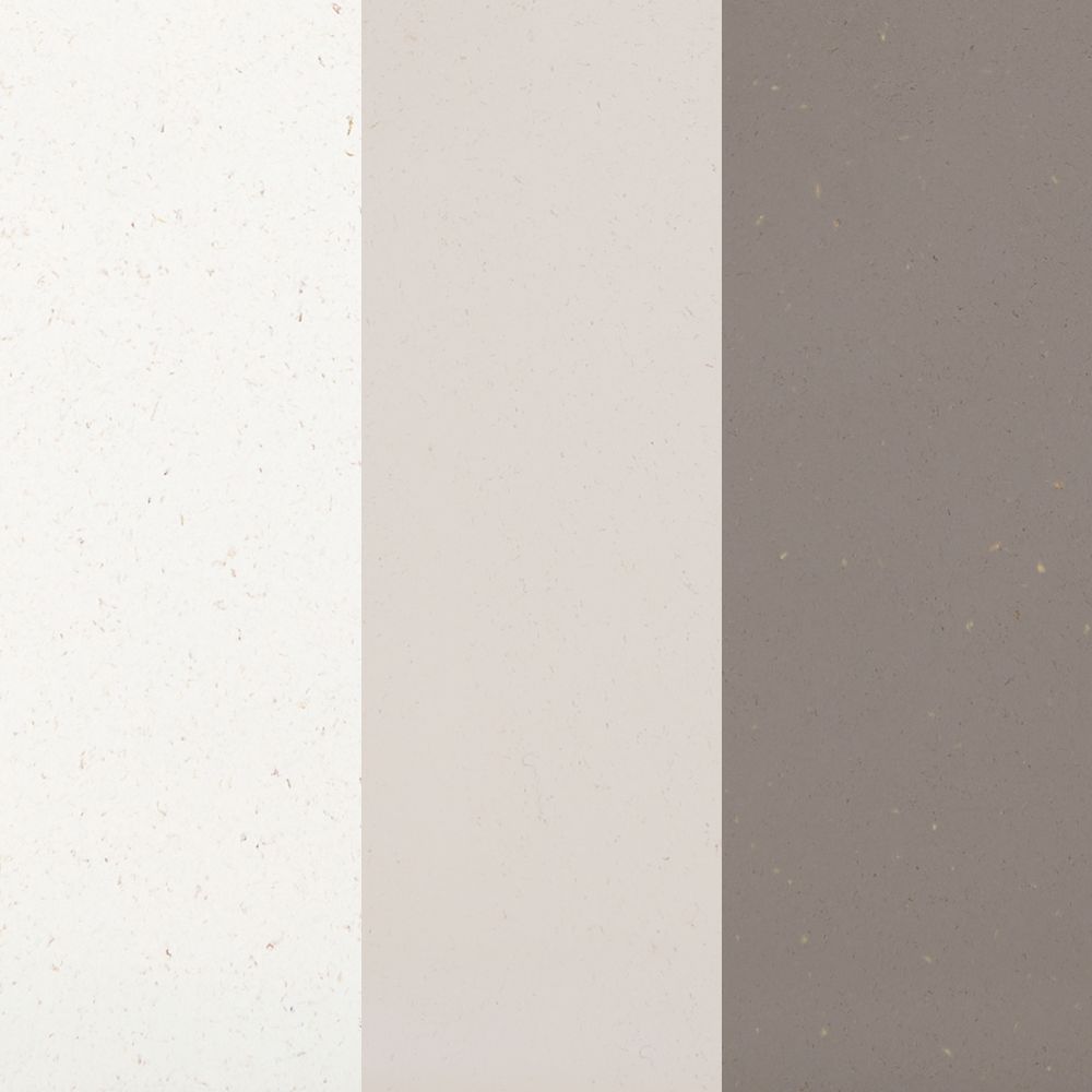 Light Warm Neutrals