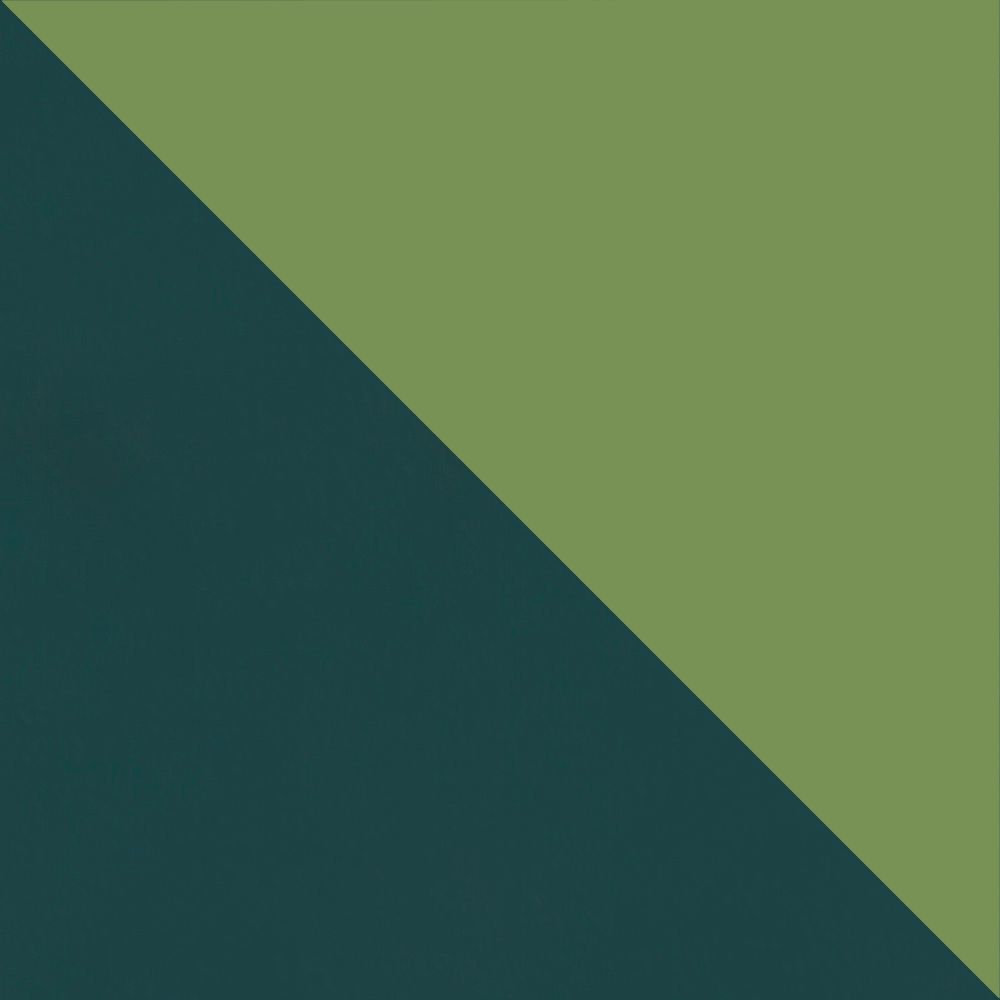 Teal Exterior with Fresh Green Interior