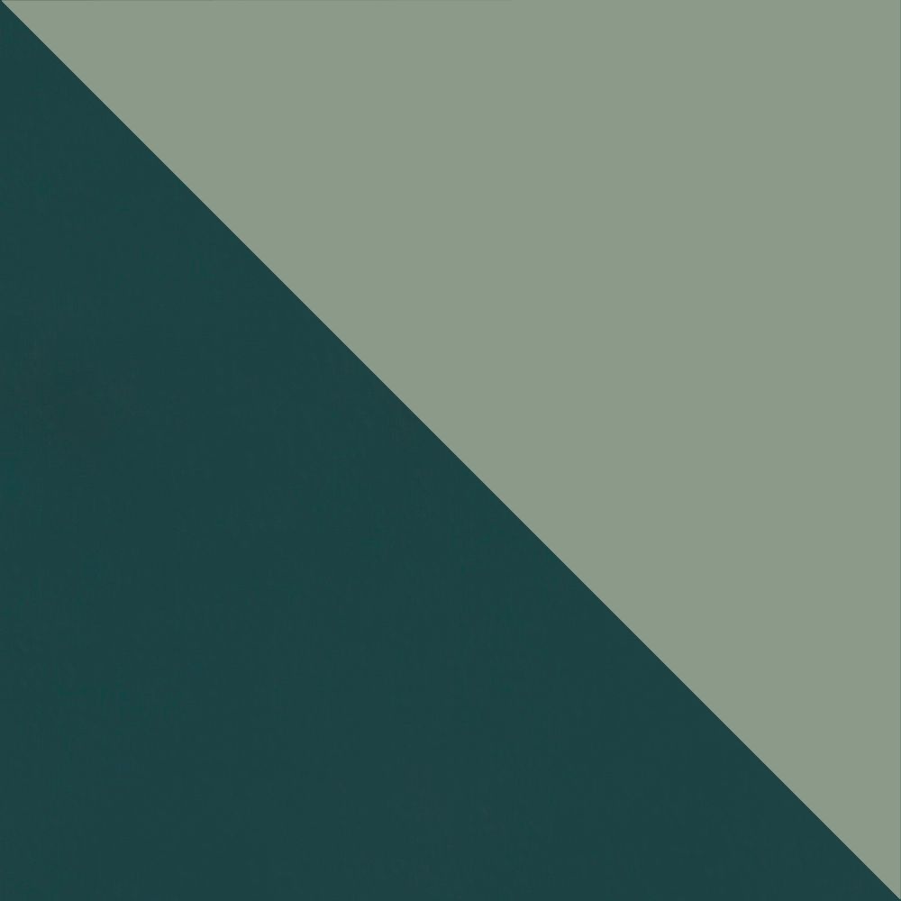 Teal Exterior with Aspen Interior