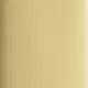 Vibrant Polished Brass