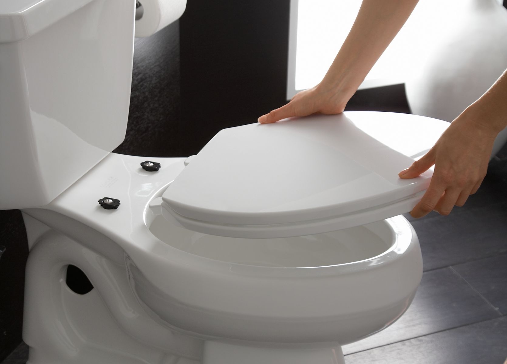 Melepas Dudukan Toilet Secara Cepat (Quick Removal)