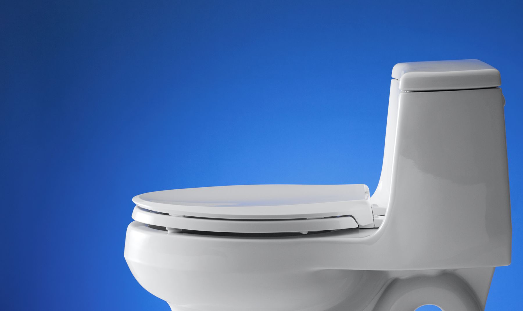 specialty toilet seats