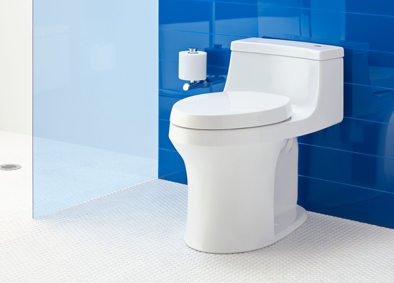 Toilet & Bidet Vitreous China