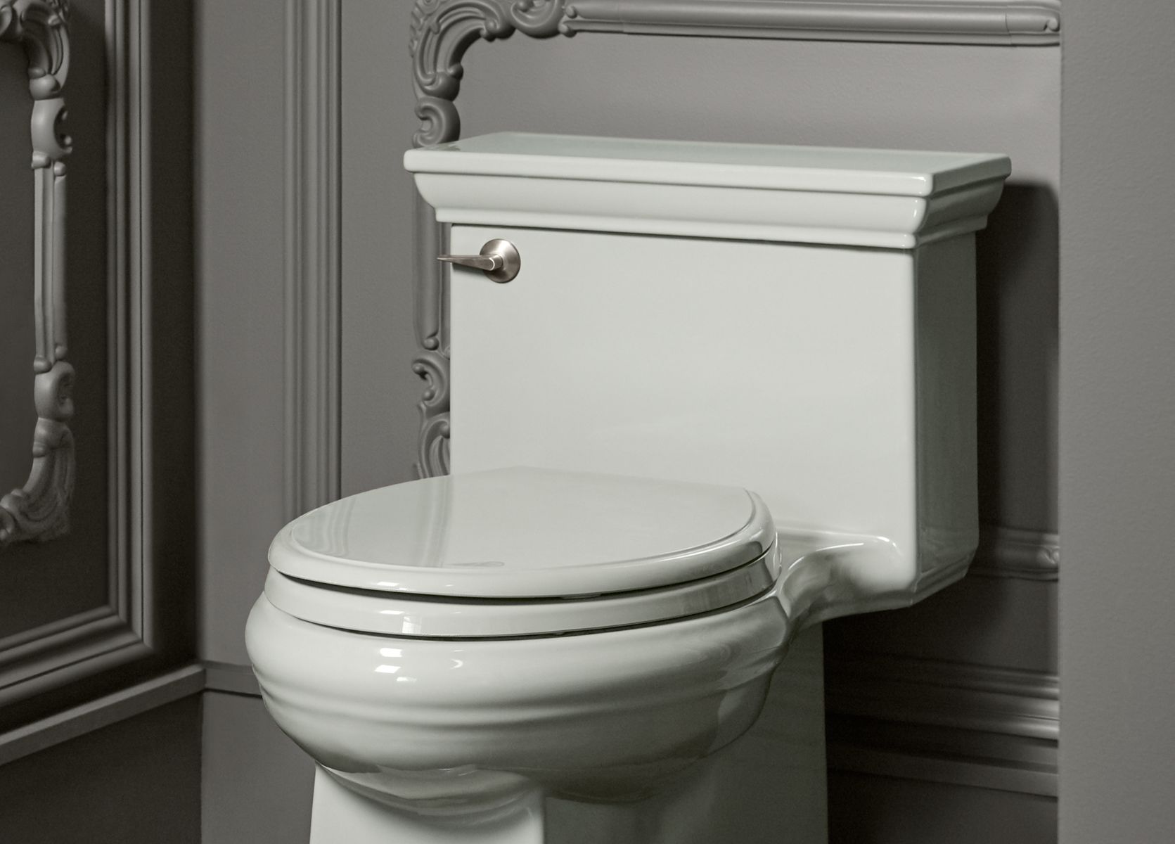 Toilet Flushing Options