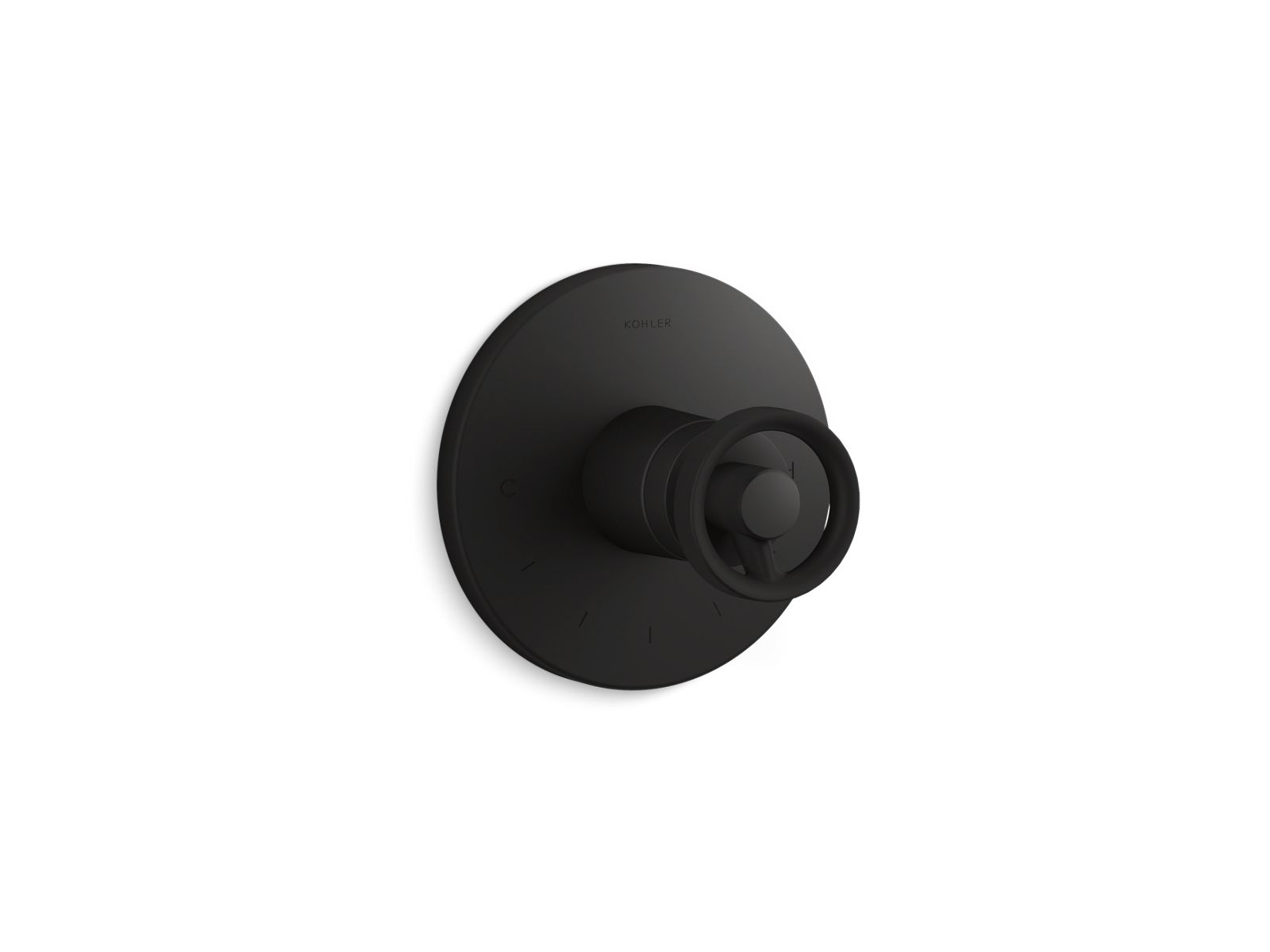 Components MasterShower temperature control valve trim with Industrial handle