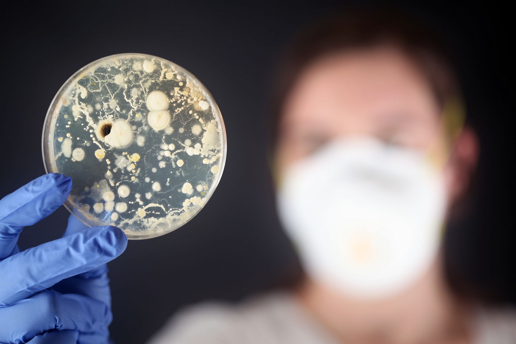 Microscopic Germs On Floor