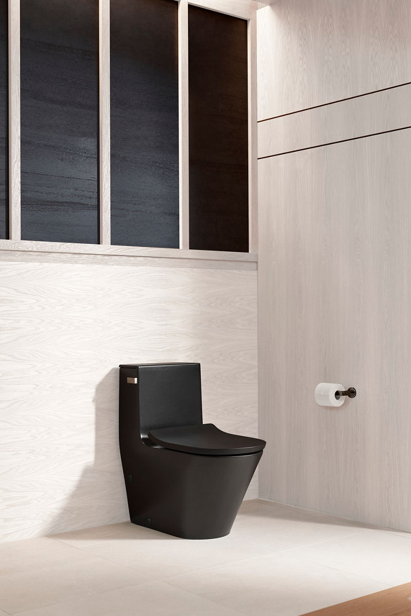 Contemporary black one-piece toilet with a sleek, minimalist design, placed against a light wood-textured wall.