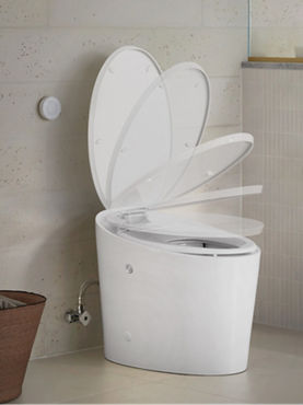 A graphic showing the successive stages of a toilet lid closing.