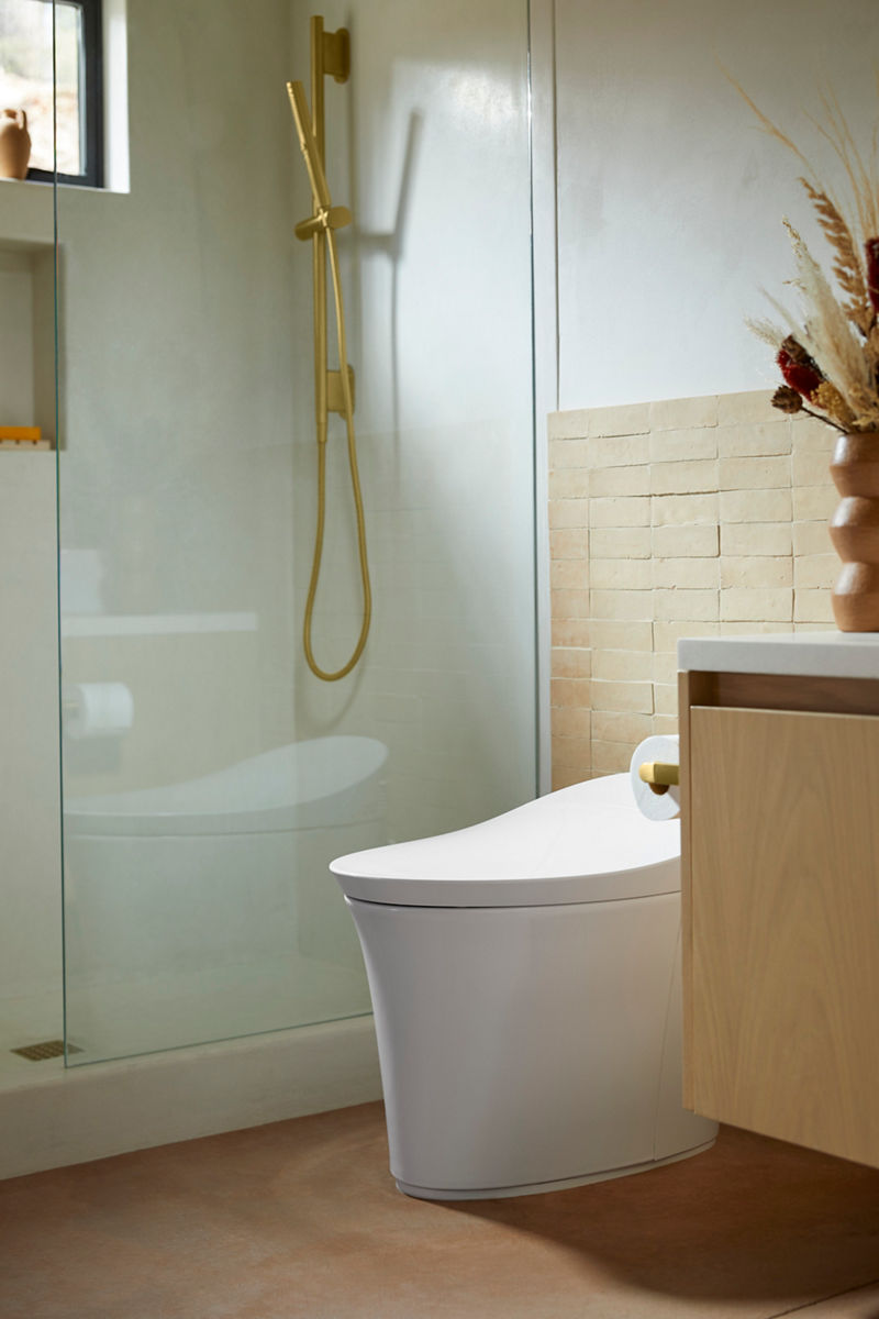 Image of the guest bathroom where a Kohler Veil smart toilet is installed next to the vanity and walk-in shower, which features a Kohler shower rail and handshower spray in brass. Natural light is creating dramatic shadows on the walls.