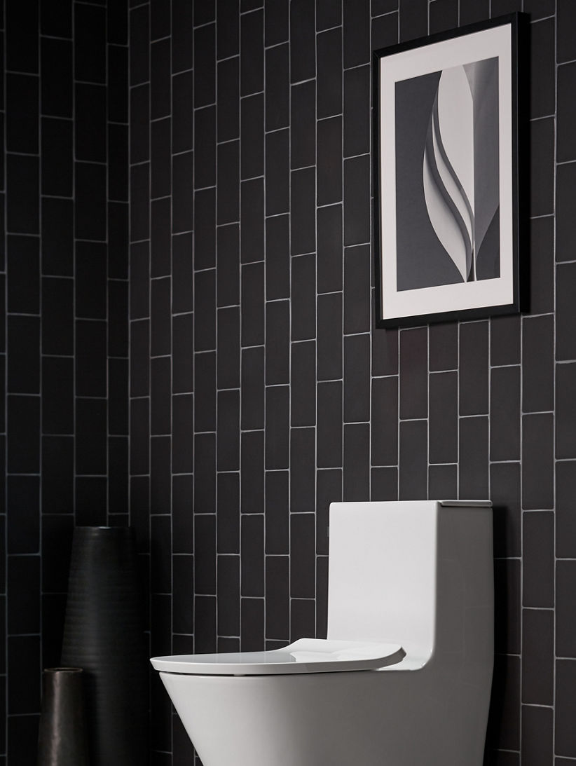 Brazn™ Bathroom Collection, Toilets, Baths & Bathroom Sinks