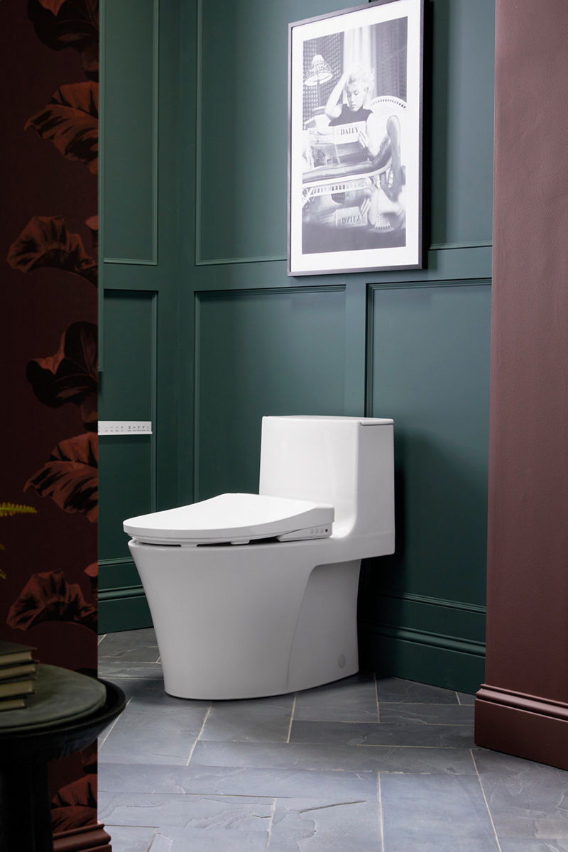 Toilet and Bidet Seats KOHLER